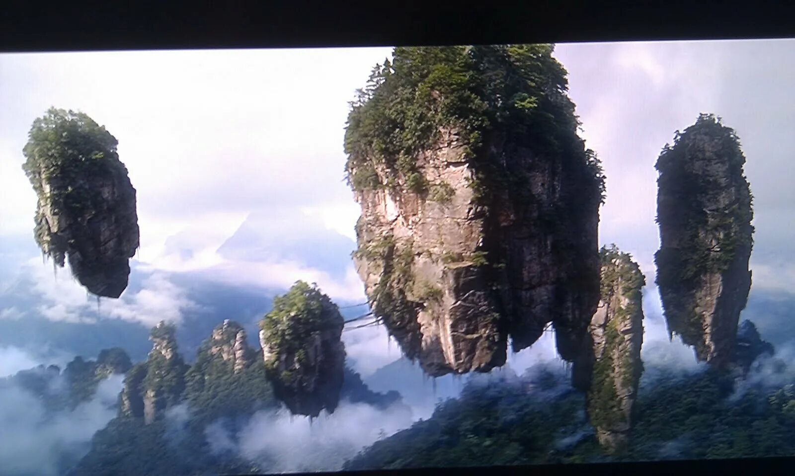 чжанцзяцзе (национальный лесной парк). национальный парк чжанцзяцзе (провинция хунань). горы аватара китай национальный парк чжанцзяцзе. горы улинъюань. китай парящие горы хуаншань.