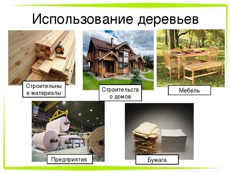 Примеры использования древесины