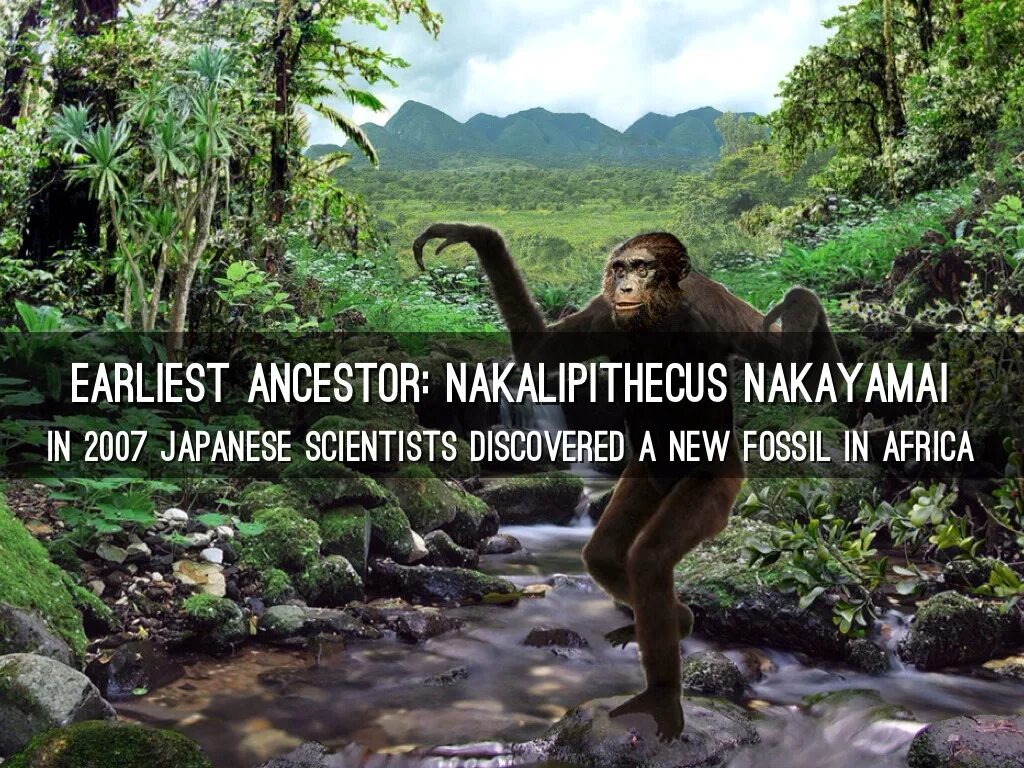 Scientists have discovered that