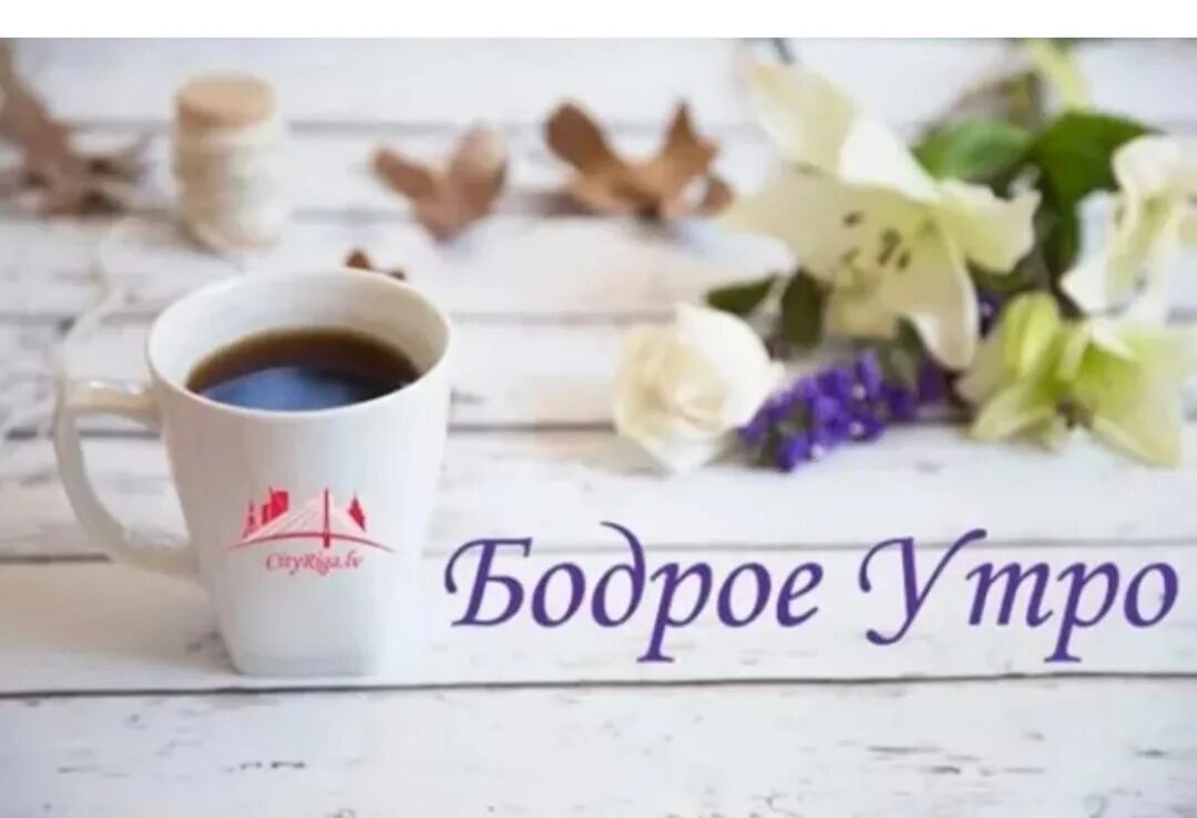 Бодрое утро. Бодрое утро утро. <Бодрое бодрое утро. Активное утро.