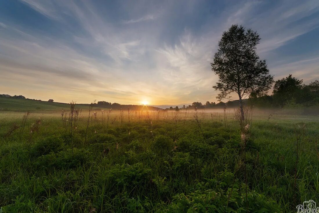 Дмитров поля. Дмитровское поле. Поля татарстана. Дмитровское поле. Поля в подмосковье.