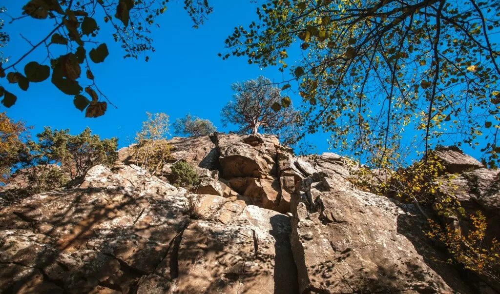 Красные скалы планческая щель. Окна в скалах краснодарский край. Краевая клиническая больница краснодар 2 скал. Скал краснодар отзывы. Пещера планческие скалы.