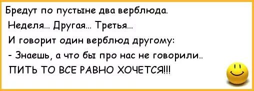 Анекдоты про верблюдов. Анекдоты про пустыню. Анекдот про верблюда. Анекдот про верблюда который замерз.