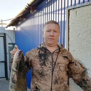 николай курочкин шлюмберже