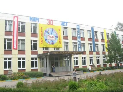 Школа 556