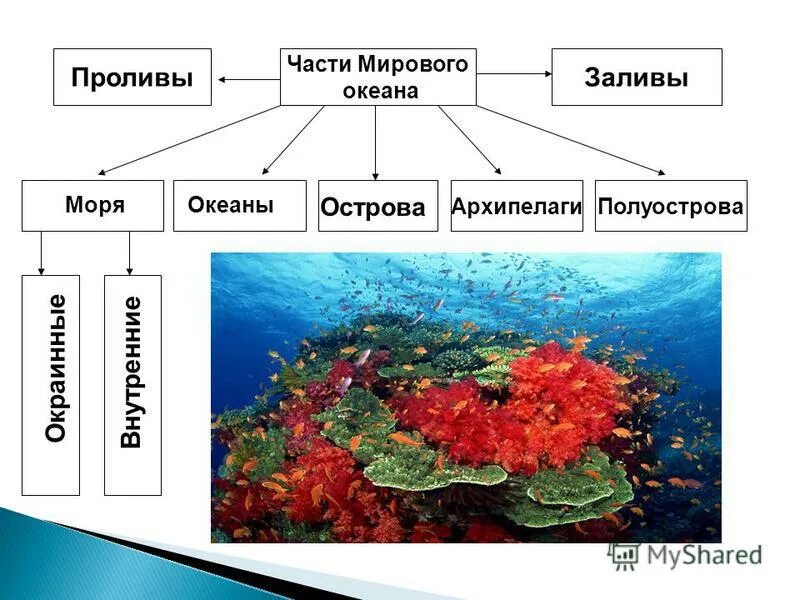 окраинные моря северного ледовитого океана. моря заливы проливы. мировой океан основная часть гидросферы. название внутренних морей. что такое залив в географии.