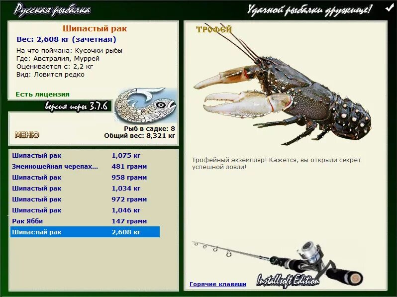 размер раковние. вес рака. раки+ весы. какие бывают размеры раков?. западный затон - раки.