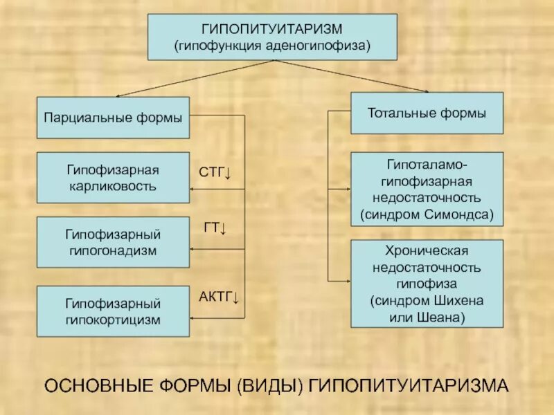 Тотальные функции