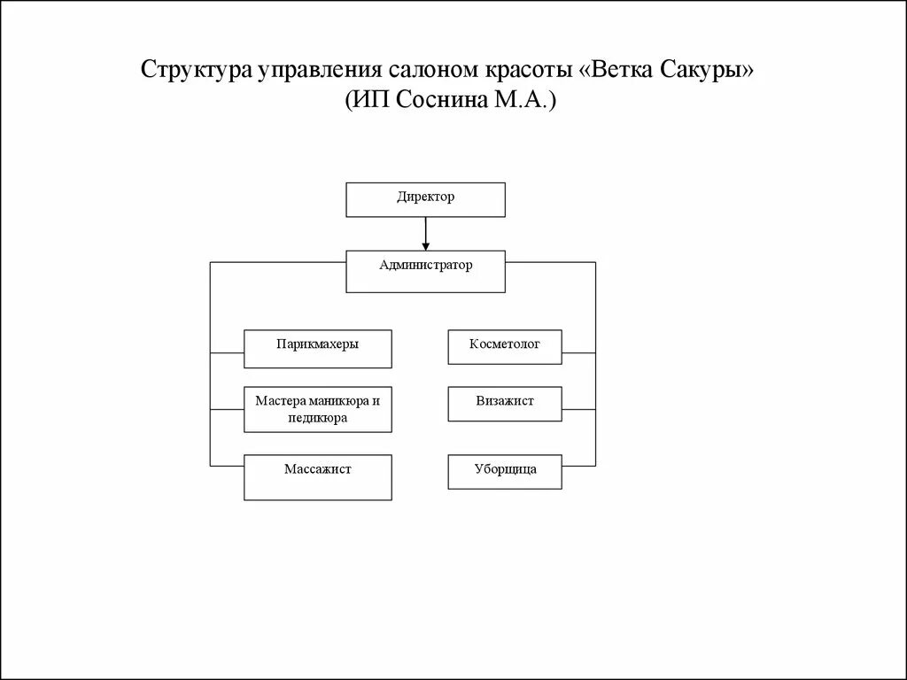 Индивидуальное предприятие организация управления. Организационная структура управления салона красоты схема. организационно структурная схема салона красоты.