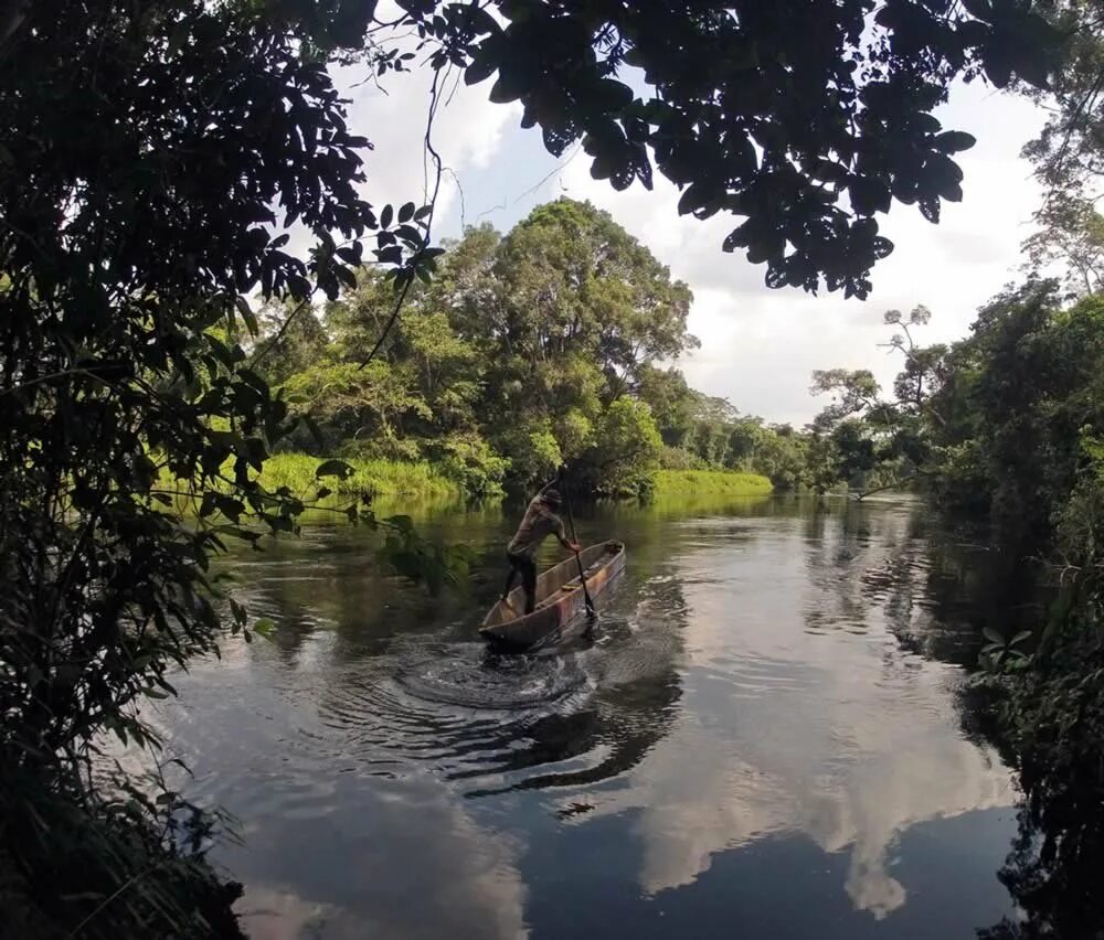 Долина реки конго. Демократическая республика конго река конго. Река конго в африке. Река конго в африке. Конго заир река.