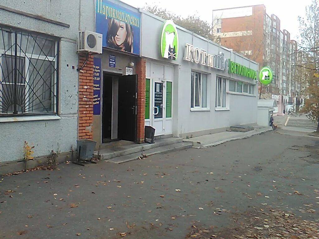 2-к квартира, 54 м2, 8/9 эт. по ул. Воронова 2 в Пензе