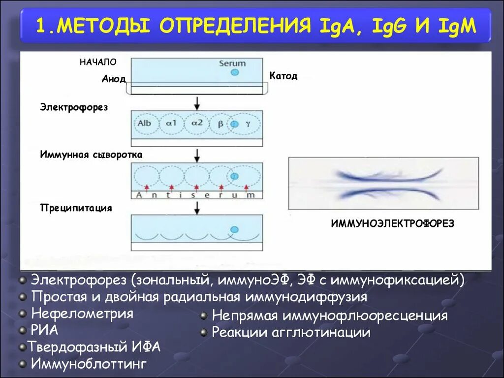 Тест песня электрофорез