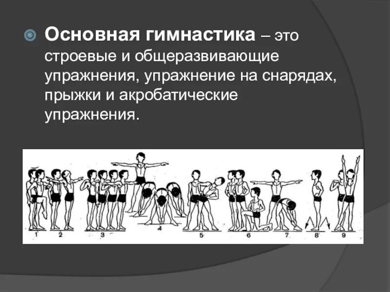 Основные строевые упражнения. Основная гимнастика упражнения. Основные упражнения в гимнастике. Строевые и общеразвивающие упражнения. Методика строевых упражнений