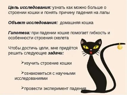 Почему кошка сидит в ванной
