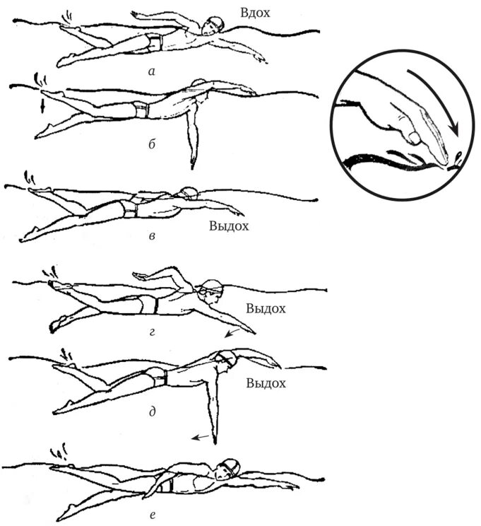 Методика плавания кролем. Кроль техника плавания схема. Кроль стиль в плавании схема. Техника плавания кролем пошагово. Техника плавания кролем на груди.