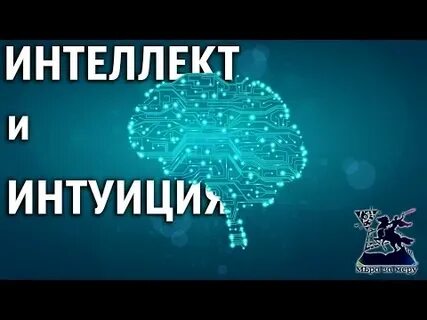 Интуиция инстинкт 5
