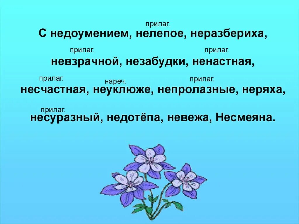 Незабудки прилагательное. Прилагательные к слову Незабудка. Незабудки прилагательное к нему. Незабудки какие прилагательные. Незабудки описание прилагательные.