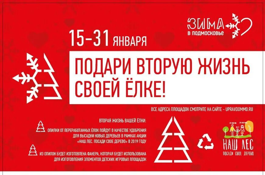 Подари елке вторую жизнь. Подари своей ёлке вторую жизнь в подмосковье. подари елке вторую жизнь московская область. акция в подмосковье подари елке вторую жизнь. вторая жизнь елки.