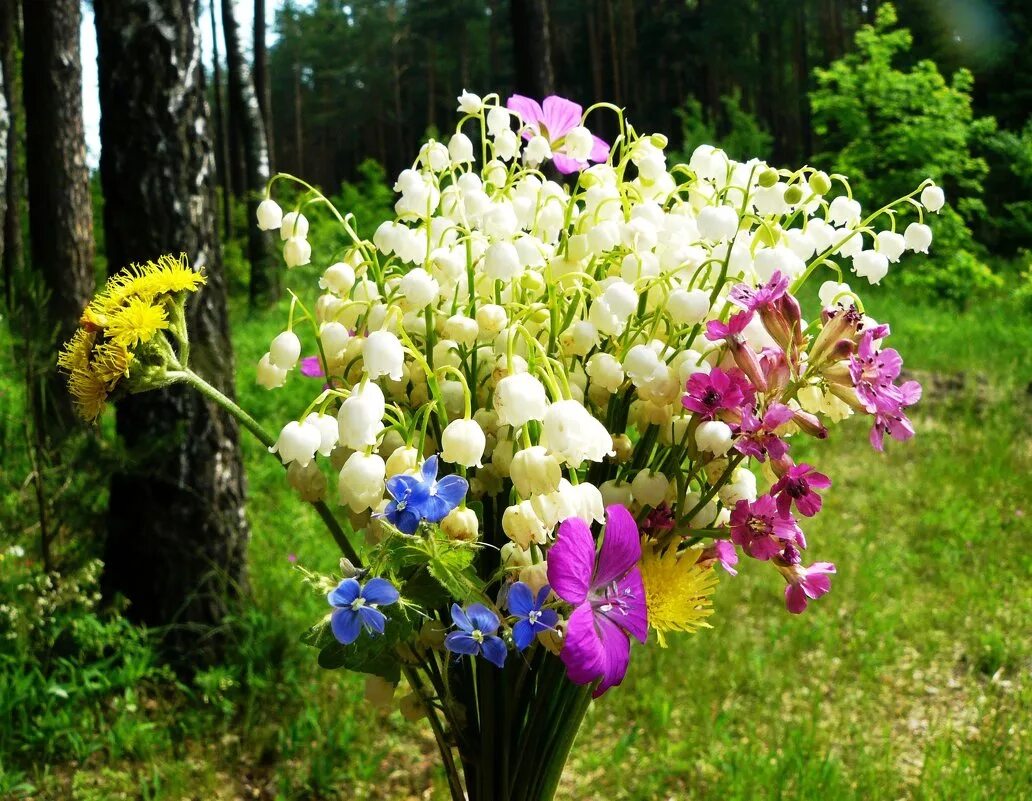 Какие цветы в мае россия. Красивый весенний букет. Букет полевые цветы. Весенний полевой букет. Букет из лесных цветов.