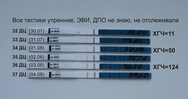 Тест на ХГЧ. Тесты на беременность по дням. ХГЧ тест на беременность. Тесты при ХГЧ.