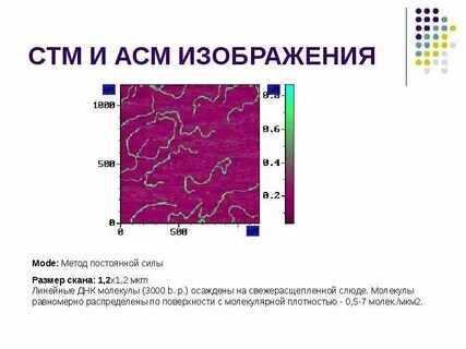 Асм это