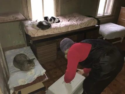 Приют ульяновск