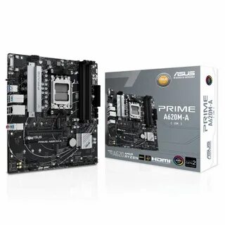 Asus pro a620m c csm