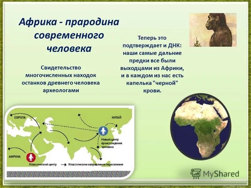 прародина индоевропейцев. территория прародина человека. прародина первобытных людей. гипотезы прародины индоевропейцев. предполагаемая область прародины человека.