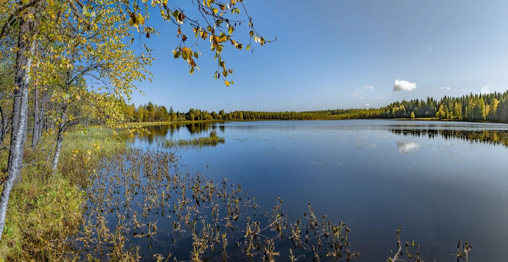 озера туляре калифорния. разрешение 1680x1050. легкое озеро. даймонд вэлли озеро. мультяшные пейзажи с озером.