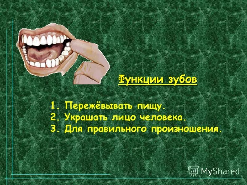 Зубы произношение. Губная зубной произношение звука с. Зуб рисунок. Зубы произношение. Презентация на тему здоровые зубы.