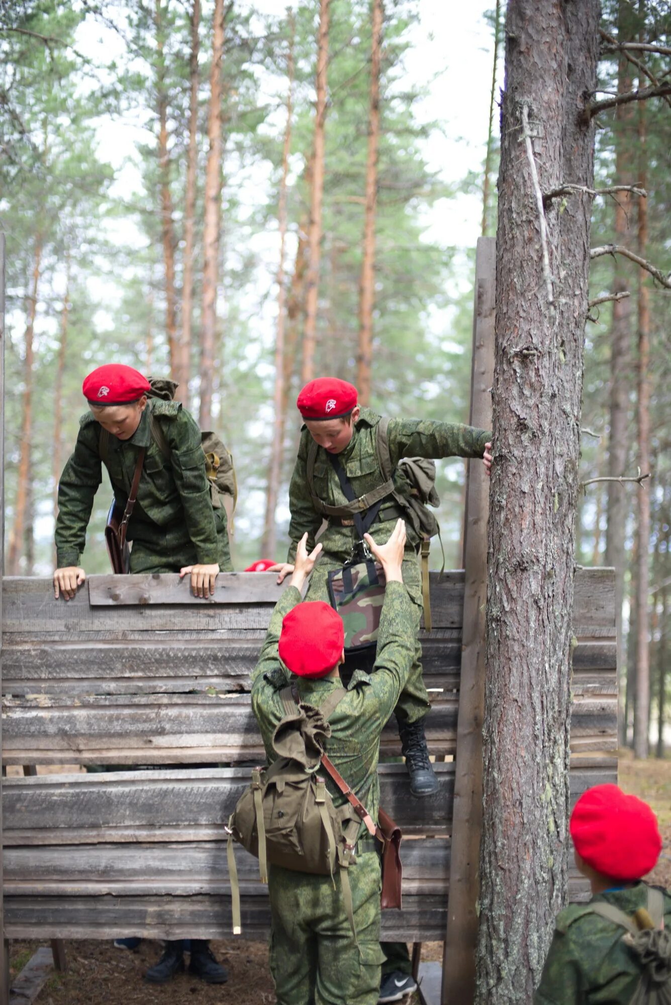 Погон для Зарницы. Зарница испытания. Зарница в августе.