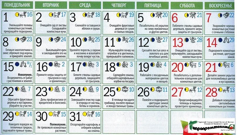 Посадочные дни в апреле 2024 г. Календарь садовода. Лунный календарь. Лунный календарь для посадки чеснока. Лунный календарь на октябрь посадка чеснока.