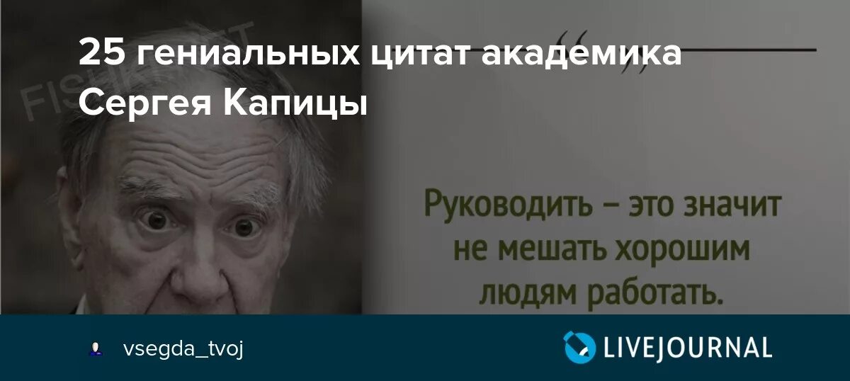 Дайте людям работать. Петр капица высказывания. не мешать хорошим людям работать. цитаты про гениальность. руководитель это не мешать хорошим людям работать.