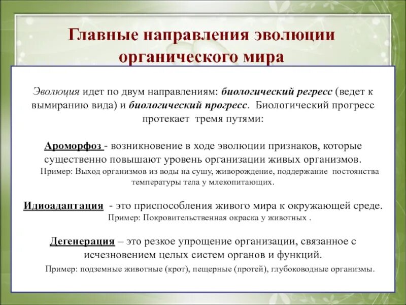 Главные направления эволюции. Основное направление эволюции.