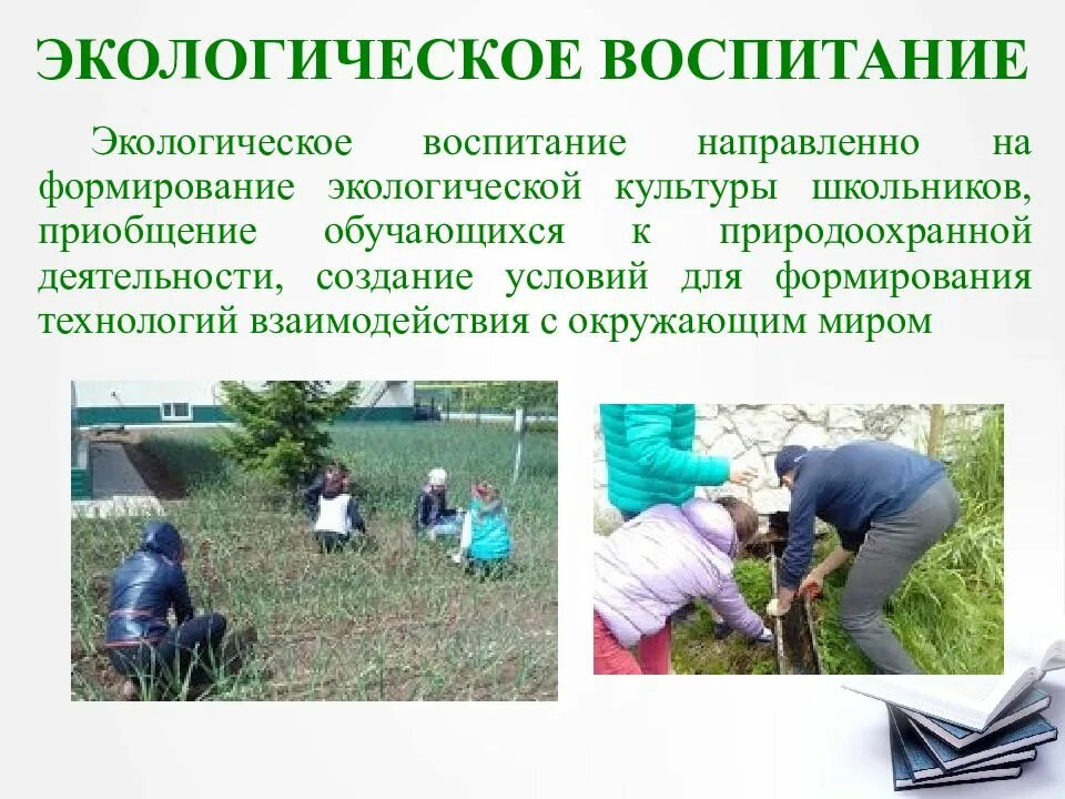 Воспитание направленное на формирование. Воспитание направленное на формирование