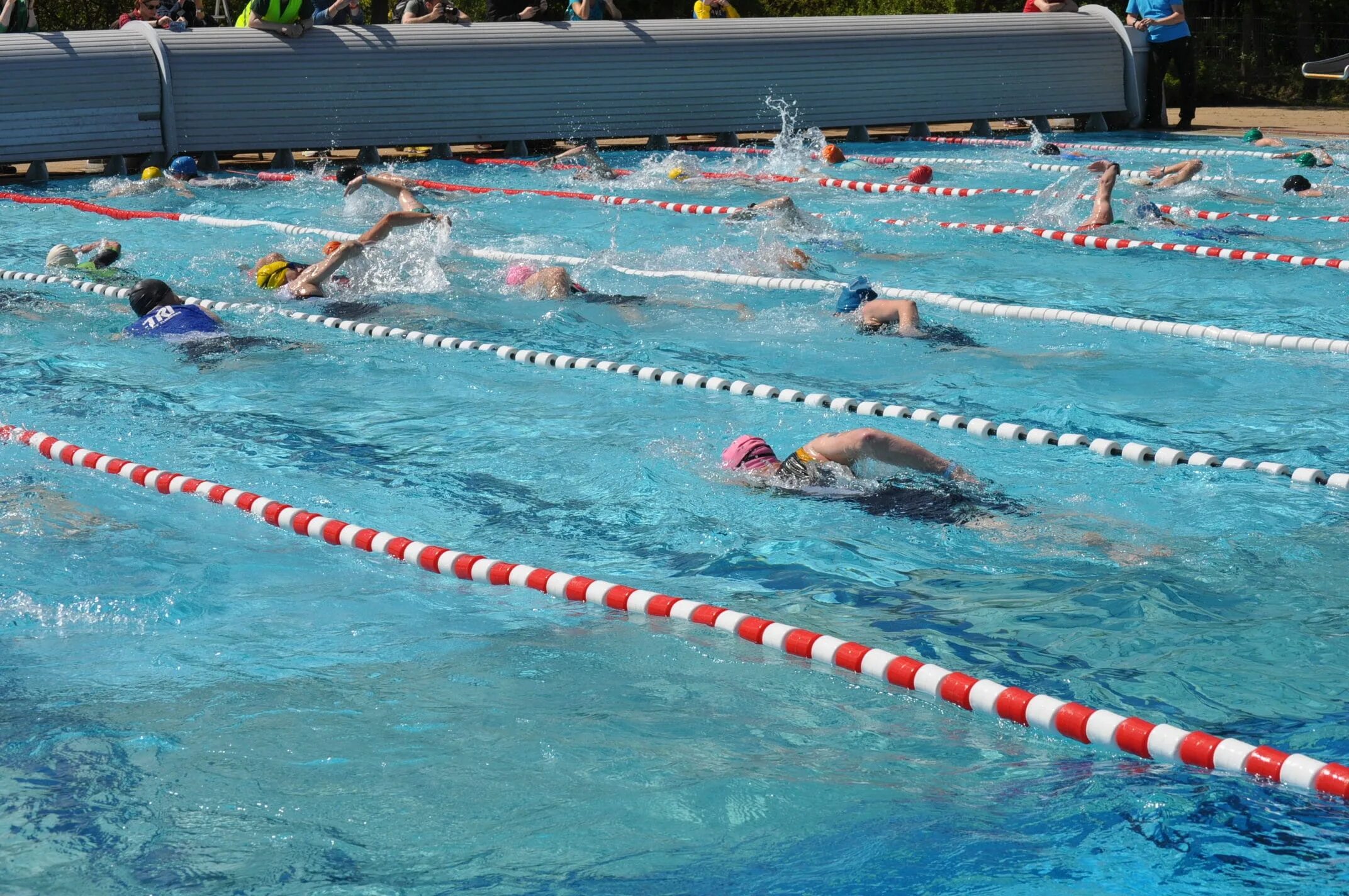 Плавание спортивные группы. Бассейн Кроль. Пловец в бассейне. Водный спорт в бассейне. Плавание соревнования.