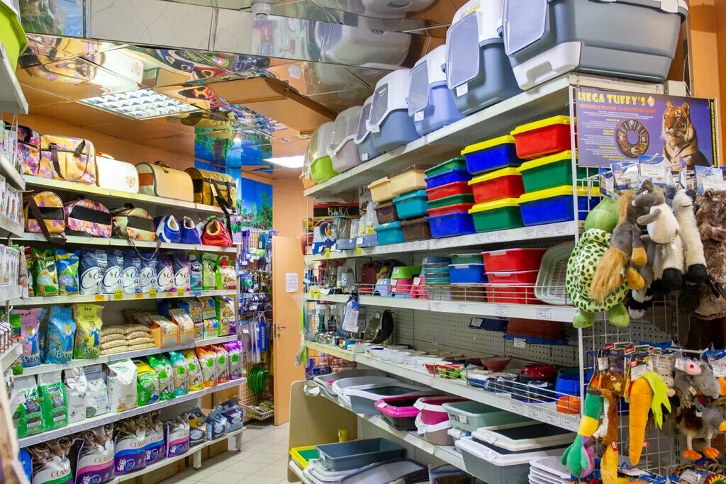 минизоомаркет спб. большой зоомагазин. зоомагазин в питере. зоомагазин с животными спб. зоомагазин вака в спб.