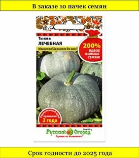 Тыква лечебная