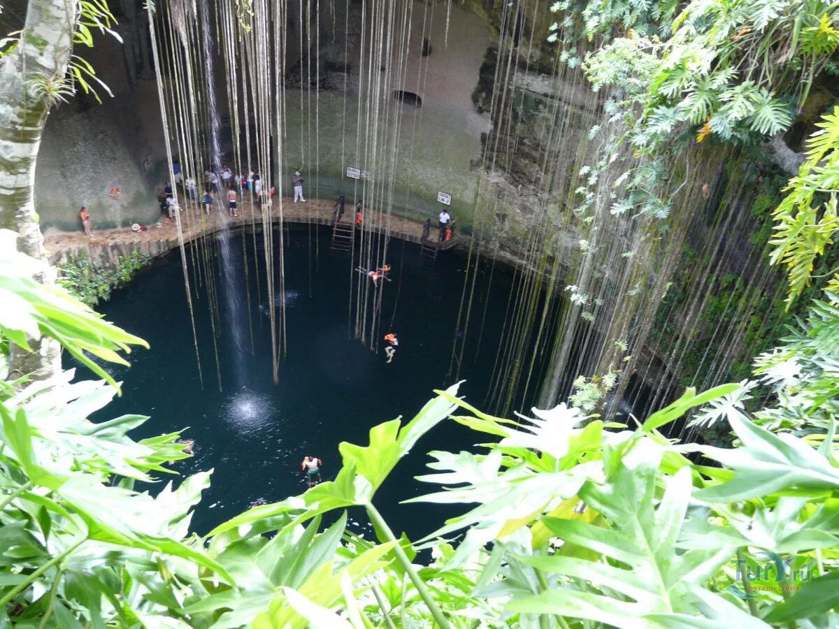 Сенот канкун. Сеноты мексики около храмов. Чичен-ица мексика сенот. Сенот ик-киль чичен-ица. Синоды где.