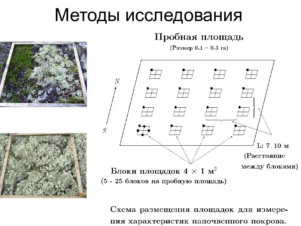 Площадь пробной площадки. Метод пробных площадей. размеры пробной площади. метод пробных площадок. методика закладки пробных площадей.