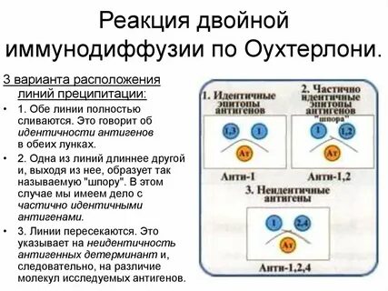 Преципитация иммунных комплексов