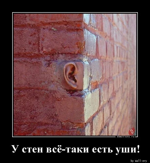 Стены бывают. У стен есть уши. даже у стен есть уши. у стен есть уши пословица. у стены есть уши прикол.