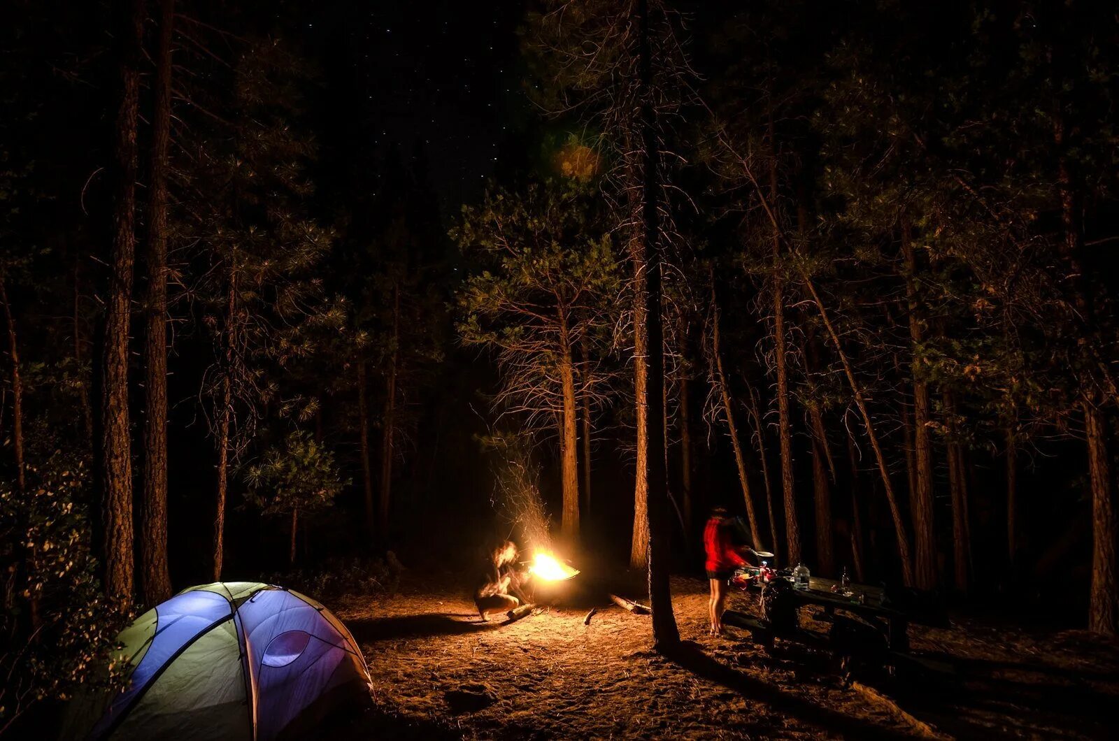 Night camp. Палатка кемпинг костерок. Палатка в лесу. Палатка в лесу ночью. Поход ночью.