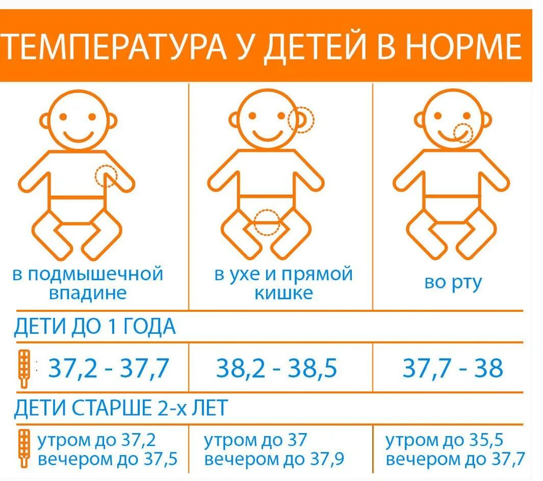 Высокая температура у взрослого сколько