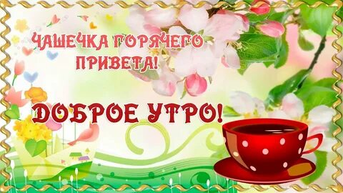 Горячие приветы меню