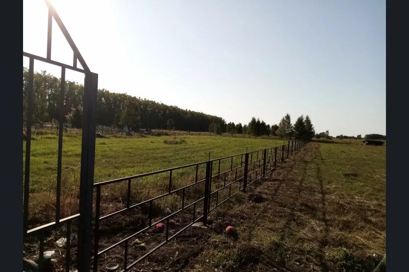 Погода нижнечеремошное краснозерского. Село Лотошное Новосибирская область. Село светлое Краснозерский район Новосибирская область. Черемошка Краснозерский район. Земля в садовом Краснозерского.