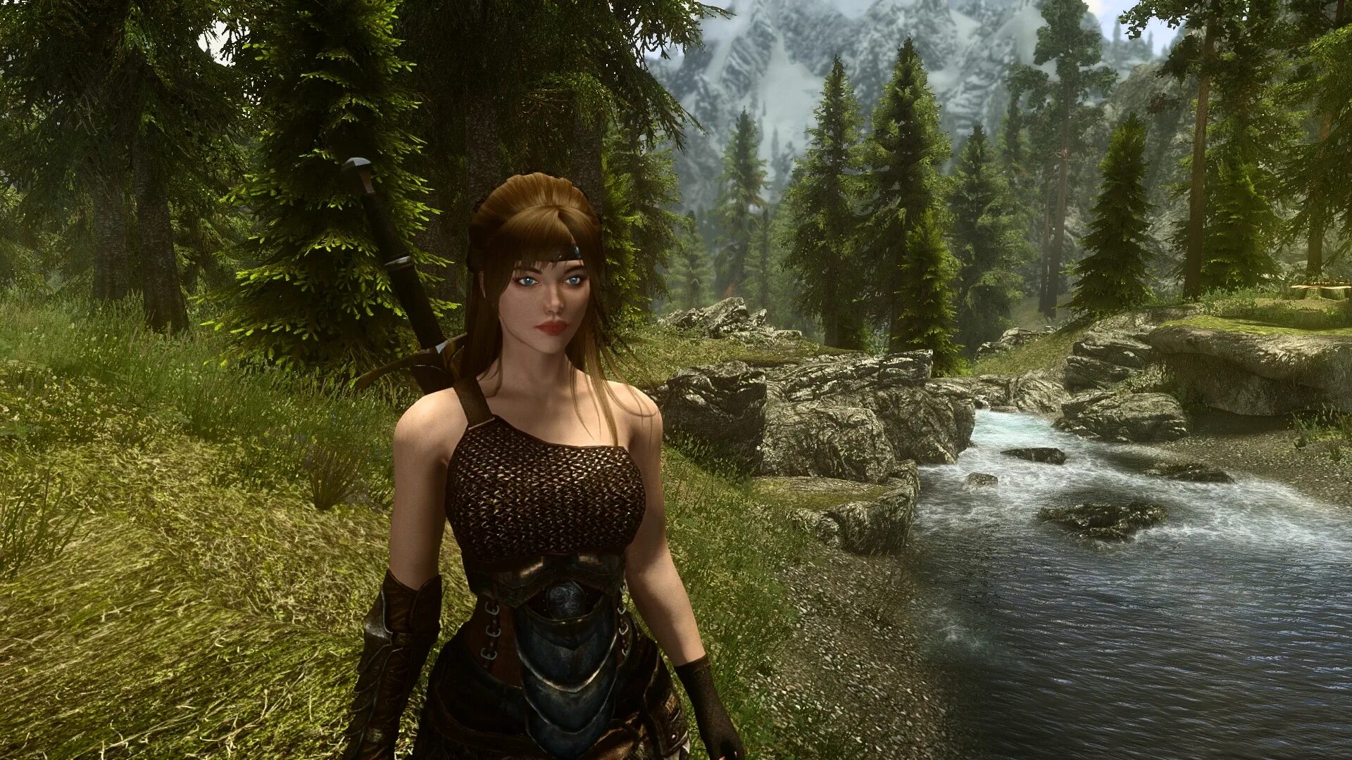 Load skyrim se