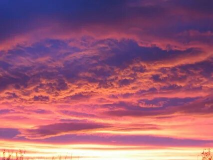 Red sky at night shepherd