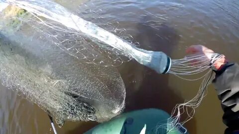 Кастинговая сеть на реке видео