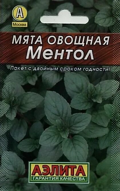 Мята перечная ментоловая семена. Семена мята ментол. Мята перечная ментол. Мята шоколадная семена купить